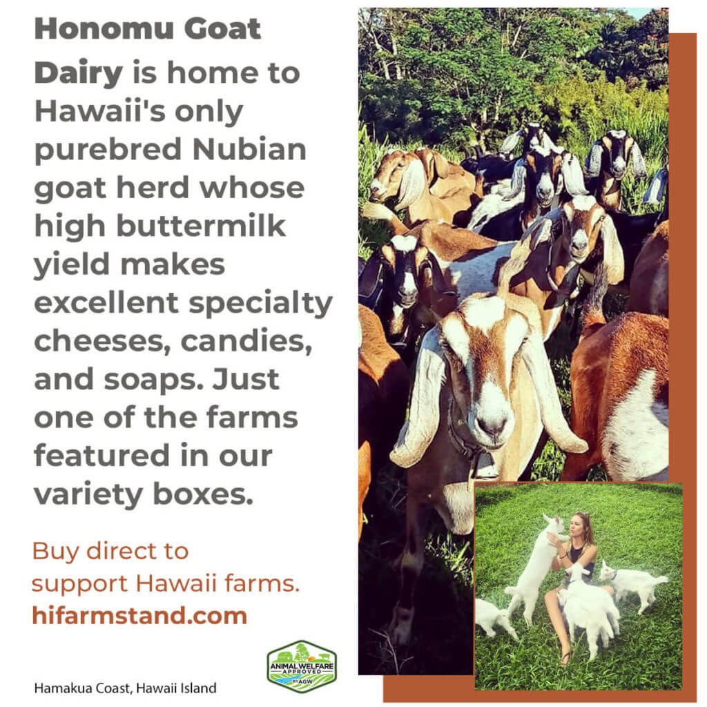 Food Gurus - Farms Honomu Goat Dairy